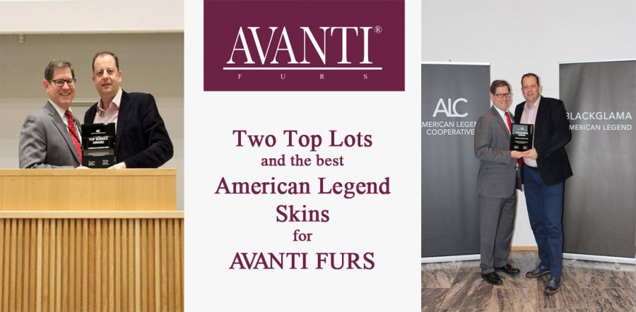 Two Top Lots and the best American Legend Skins for AVANTI FURS.