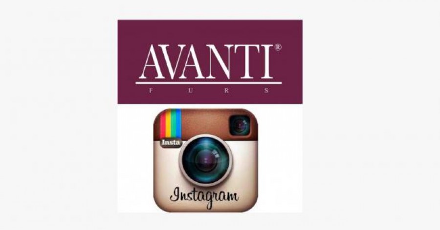 Follow the evolutionary journey of AVANTI FURS from 1864 till now. Follow us on Instagram!