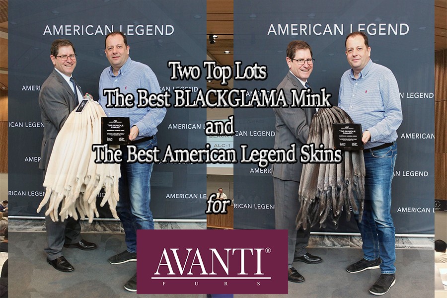 Great success at the Auction of American Legend for AVANTI FURS!