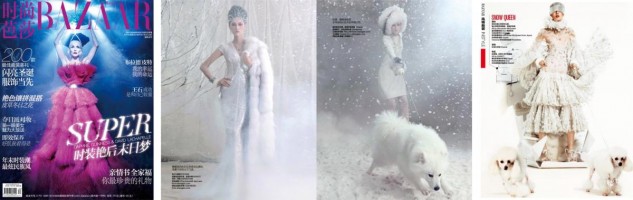 Harper's  BAZAAR MAGAZINE December 2012