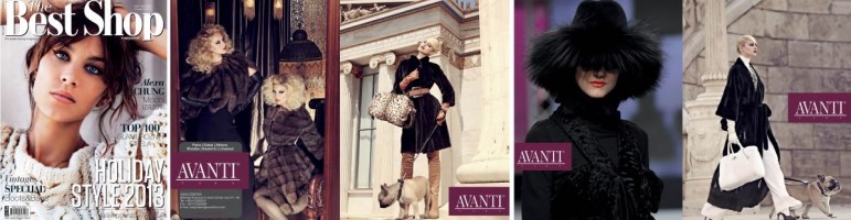 Best Shop MAGAZINE December 2012