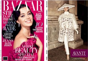 HARPER'S BAZAAR Magazine November  2014