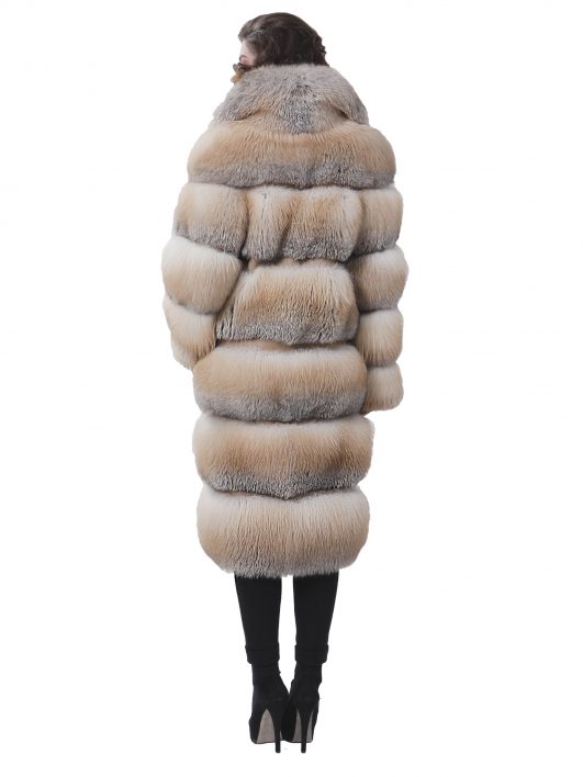 kalahari-a-golden-island-fox-coat-back