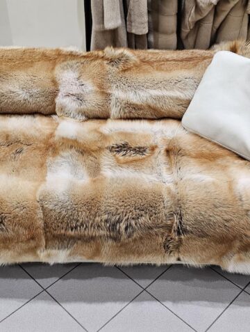 Coyote Red Blanket - 1